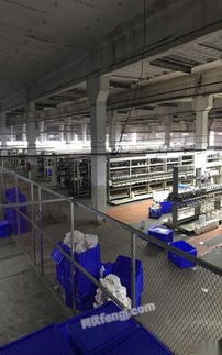 湖北襄陽盈利中紡織廠整廠轉讓 150萬元打包出售，設備場地客戶一并移交