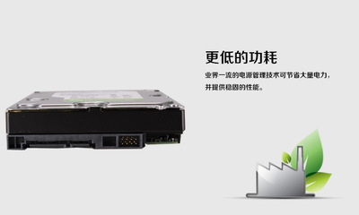 西部數(shù)據(jù)WD30EZRX 3TB綠盤深度評測 從參數(shù)到供應(yīng)鏈價(jià)值解析